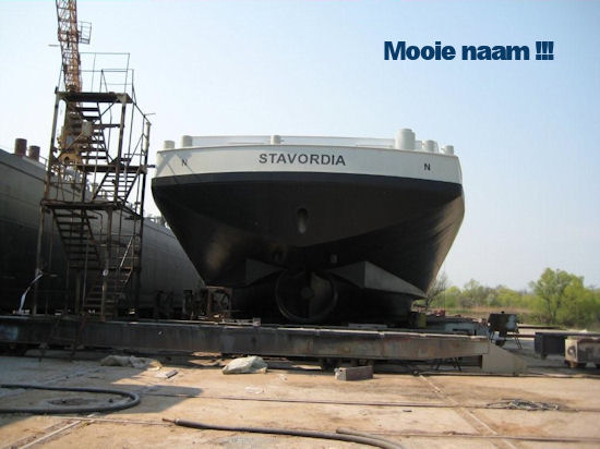 Stavordia 11