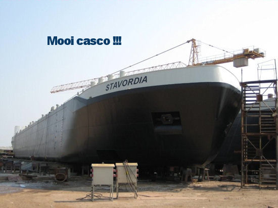 Stavordia 13