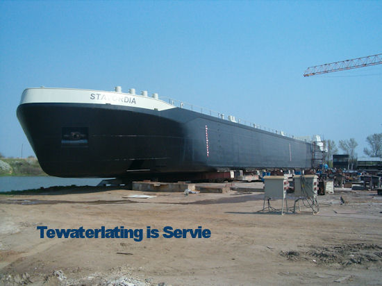 Stavordia 14