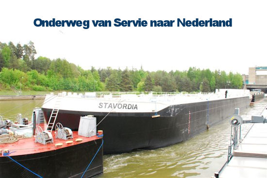 Stavordia 15