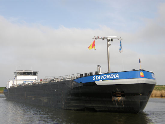 Stavordia 42