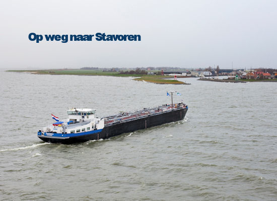 Stavordia 44