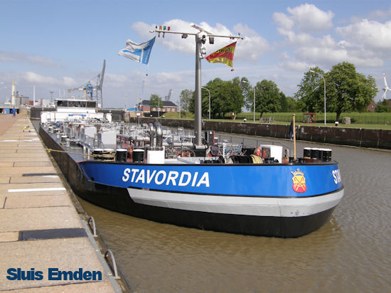 Stavordia 46