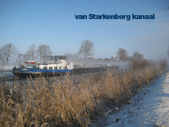 Stavordia 36